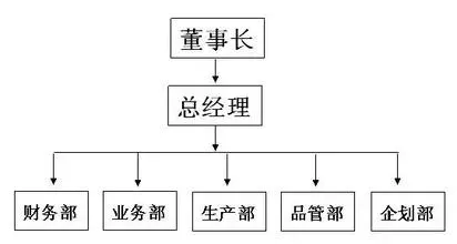 公司組織架構(gòu)